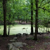 Review photo of Long Hunter State Park Campground by DrDavid P., July 31, 2018