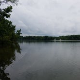 Review photo of Long Hunter State Park Campground by DrDavid P., July 31, 2018