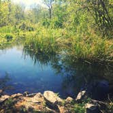 Review photo of Chattahoochee Bend State Park Campground by Laura L., July 31, 2018