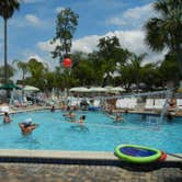 Review photo of Encore Tropical Palms by Christy C., June 30, 2016