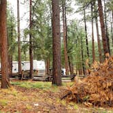 Review photo of Kaibab Camper Village by Michael J., July 31, 2018