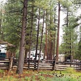 Review photo of Kaibab Camper Village by Michael J., July 31, 2018