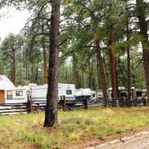 Review photo of Kaibab Camper Village by Michael J., July 31, 2018