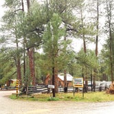 Review photo of Kaibab Camper Village by Michael J., July 31, 2018