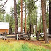 Review photo of Kaibab Camper Village by Michael J., July 31, 2018