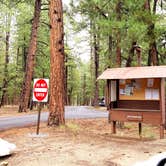 Review photo of North Rim Campground — Grand Canyon National Park by Michael J., July 31, 2018