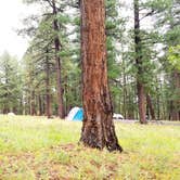 Review photo of North Rim Campground — Grand Canyon National Park by Michael J., July 31, 2018