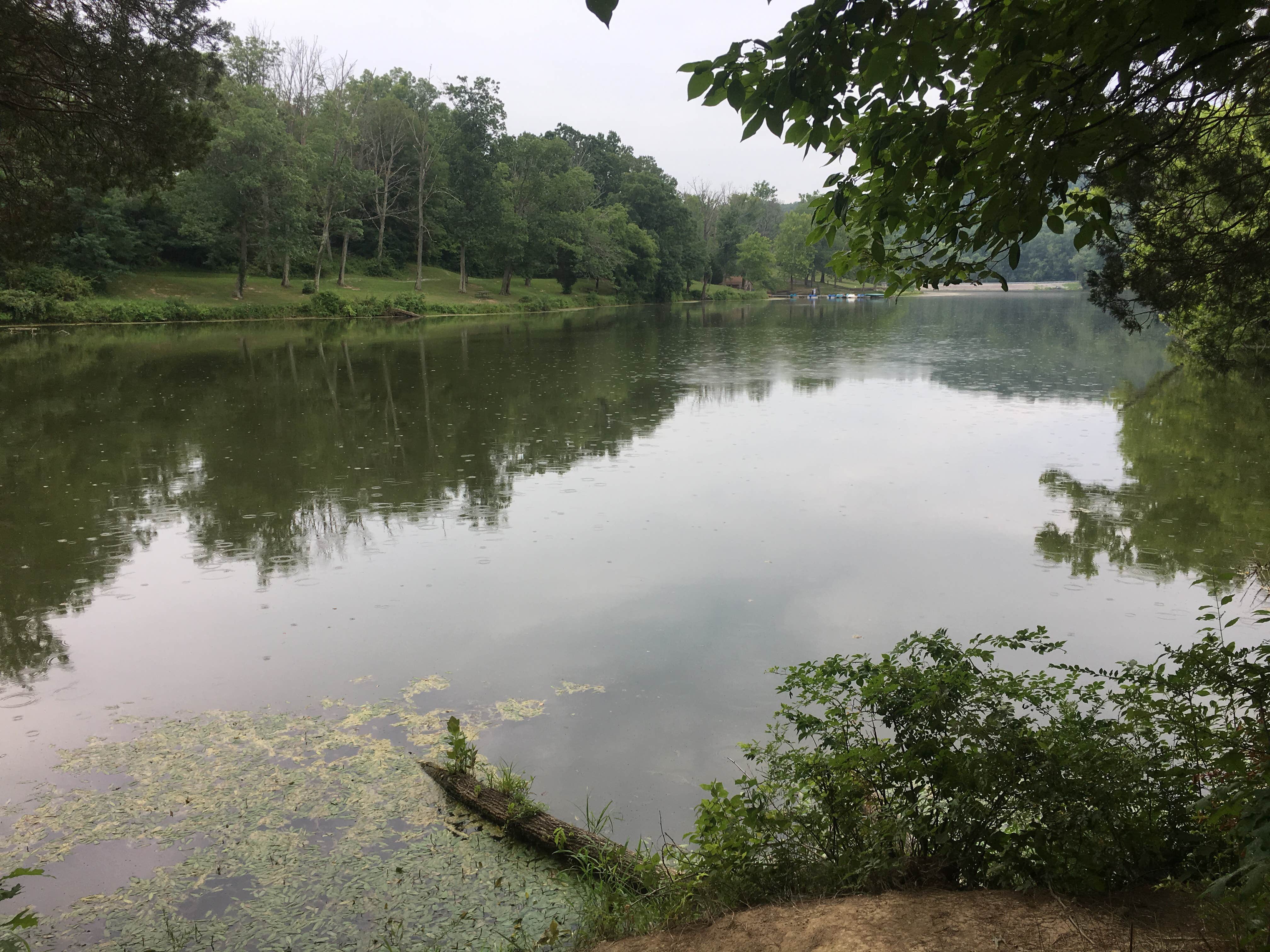 Camper submitted image from General Butler State Resort Park - 5