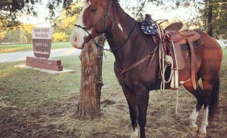 Emily T.'s photo of camping with a horse at LBJ Lyndon B Johnson National Grasslands near Mineral Wells, TX