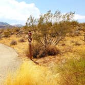 Review photo of Virgin River Gorge (BLM) by Michael J., July 31, 2018