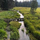 Review photo of Martins Dairy Campground by James E., July 31, 2018