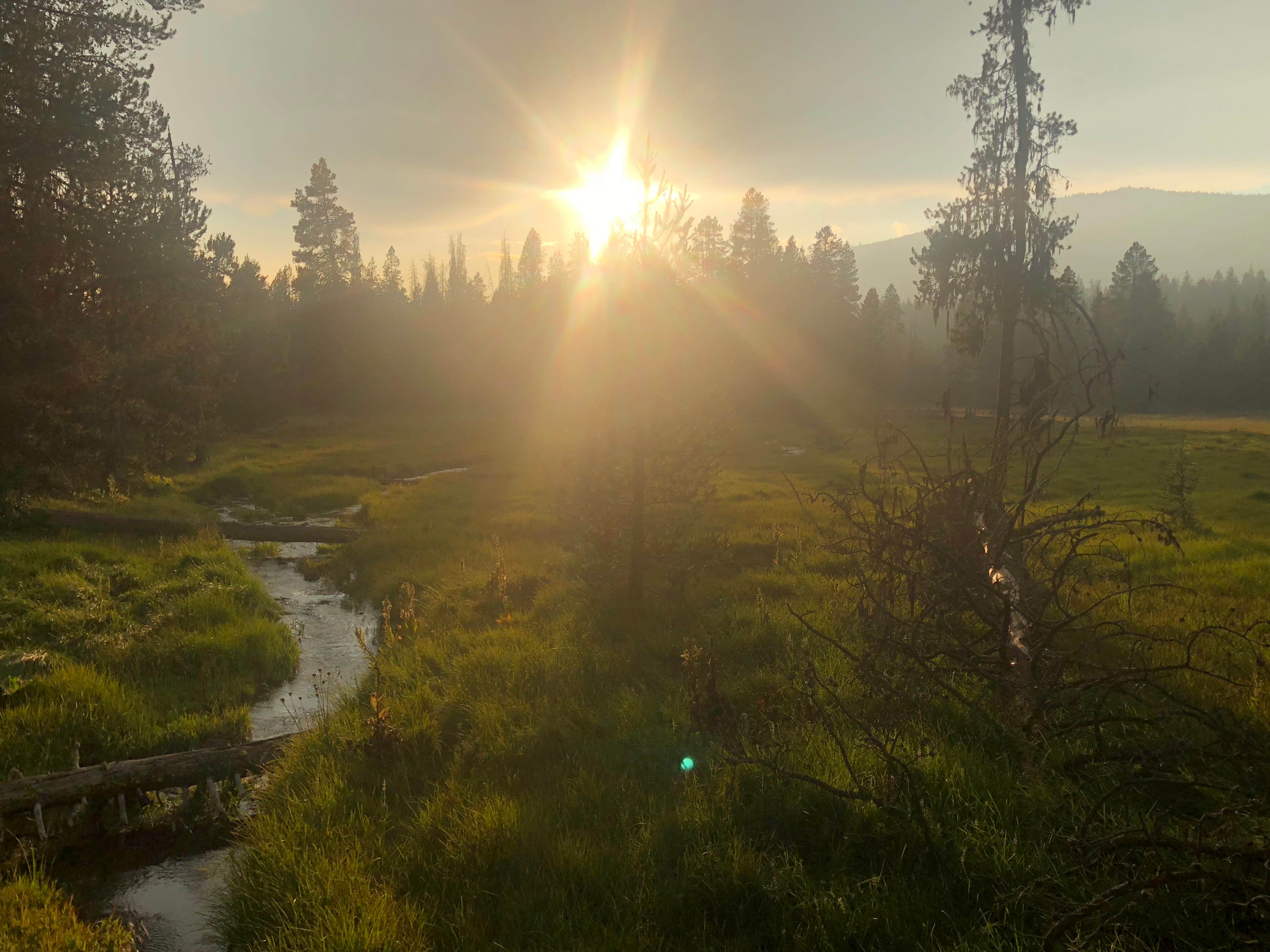 Camper-submitted photo at Martins Dairy Campground near Klamath Falls, OR