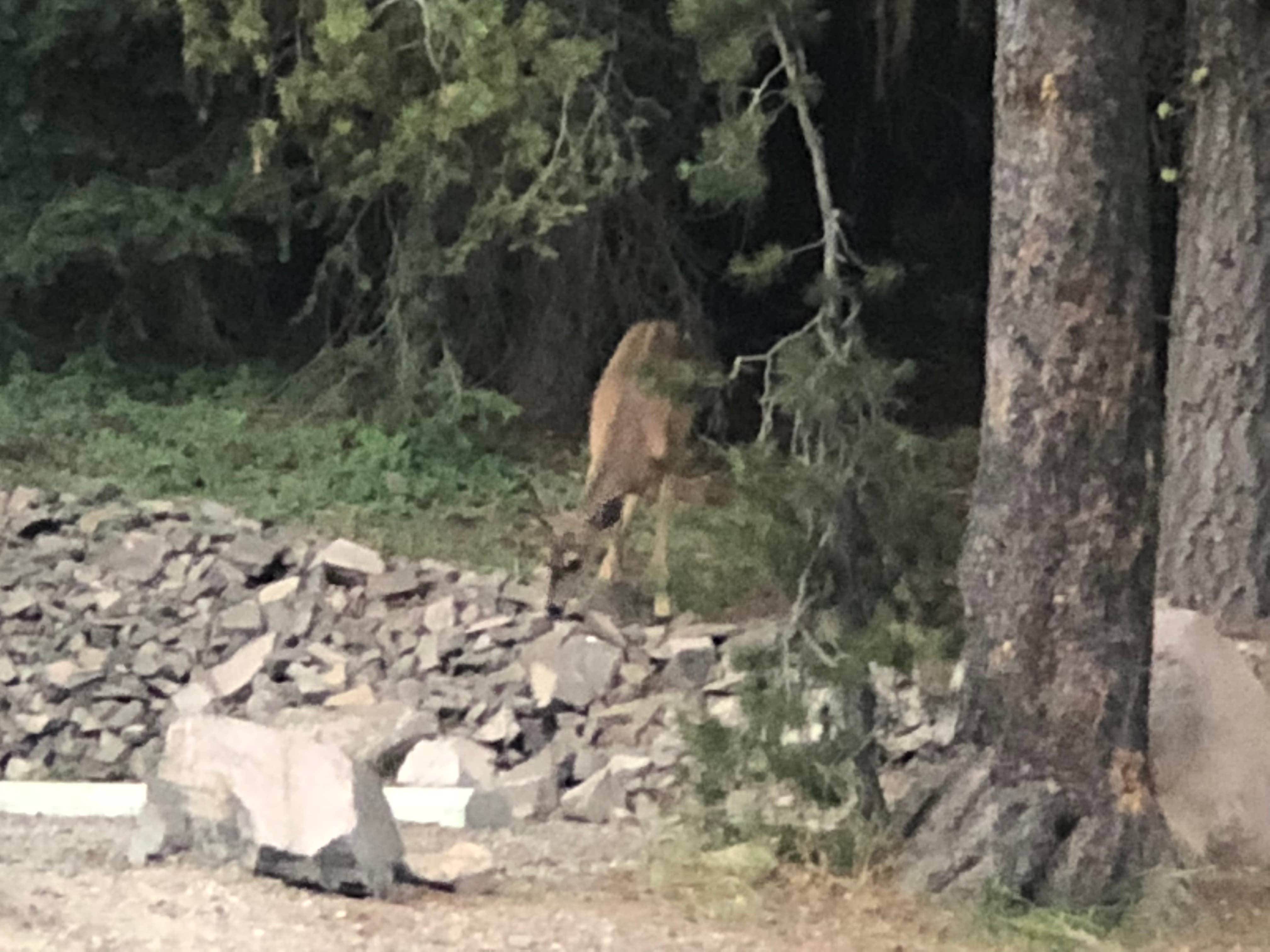 Camper-submitted photo at Martins Dairy Campground near Klamath Falls, OR
