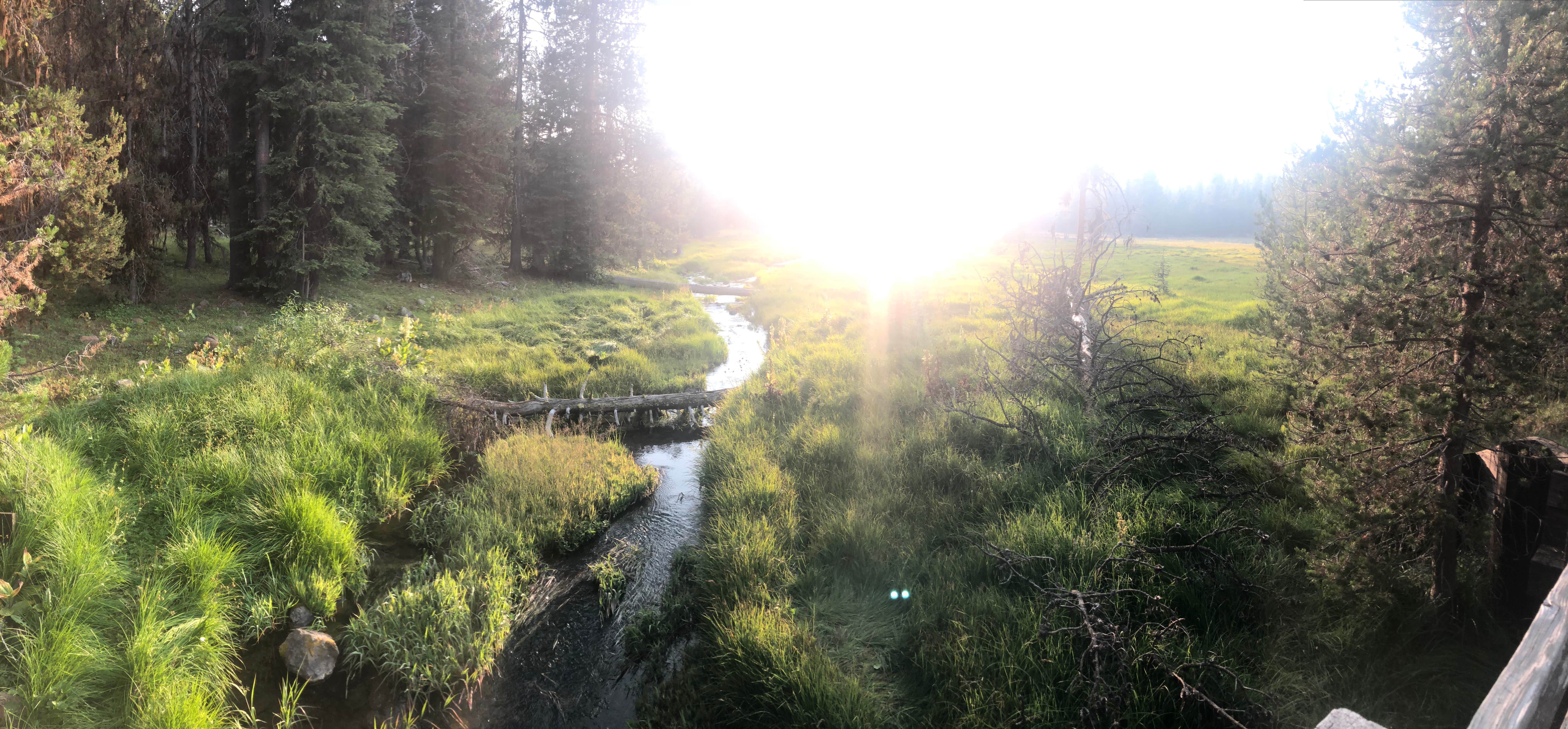 Camper-submitted photo at Martins Dairy Campground near Klamath Falls, OR