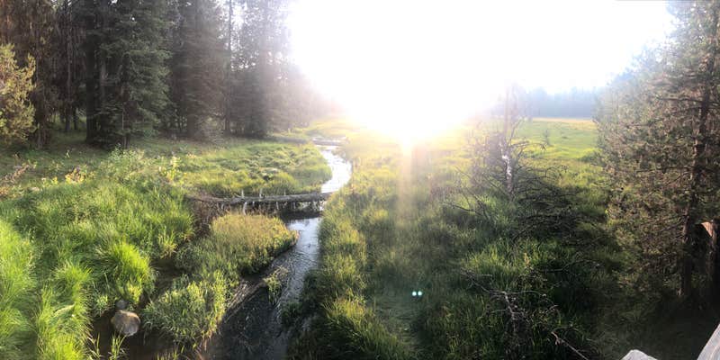 Camper submitted image from Martins Dairy Campground