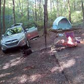 Review photo of Andrew's Cove Campground — Chattahoochee Oconee National Forest by Jess N., July 31, 2018