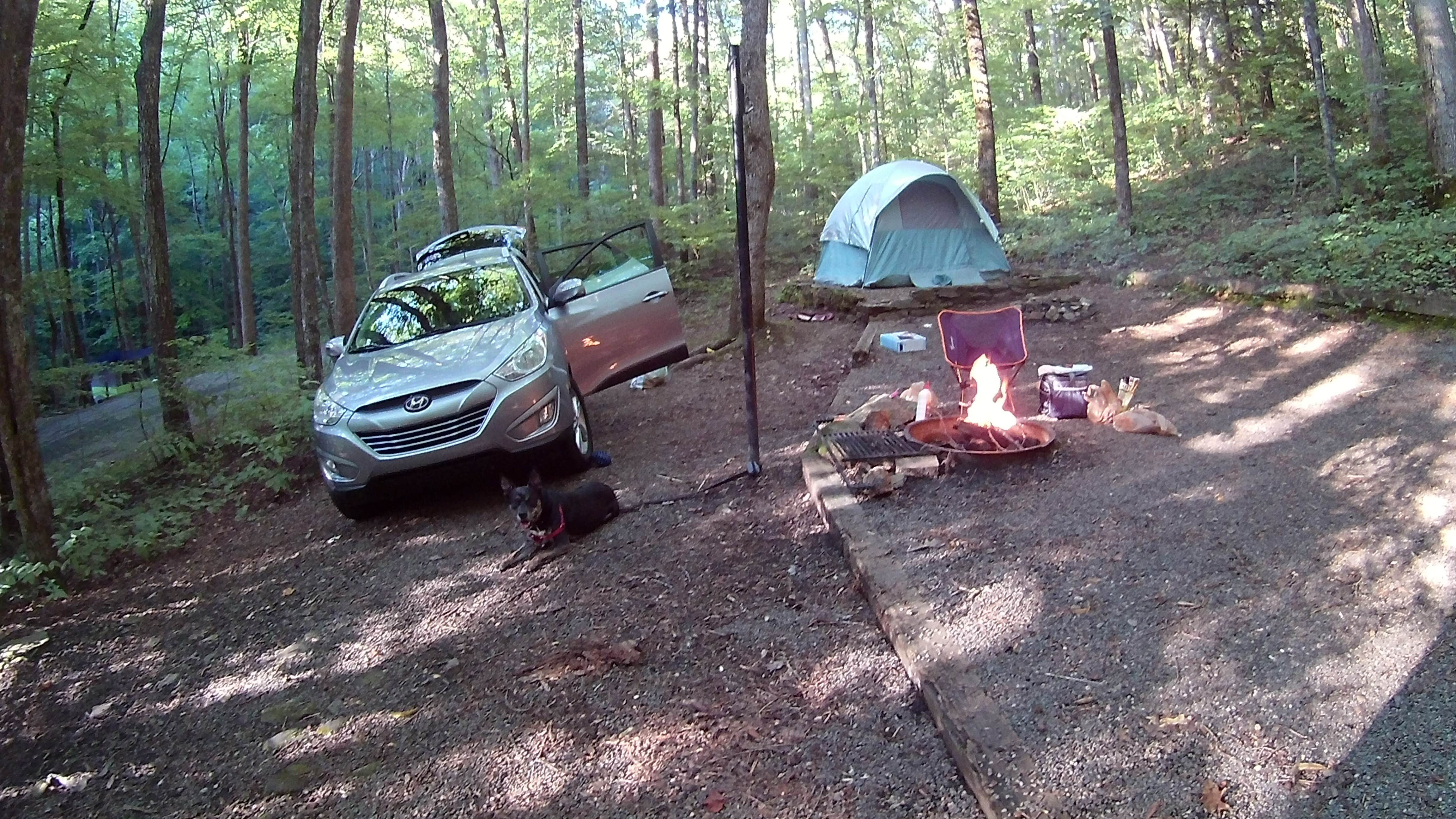 Camper submitted image from Andrew's Cove Campground — Chattahoochee Oconee National Forest - 3