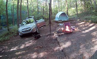 Jess N.'s photo at Andrew's Cove Campground — Chattahoochee Oconee National Forest near Sautee Nacoochee, GA