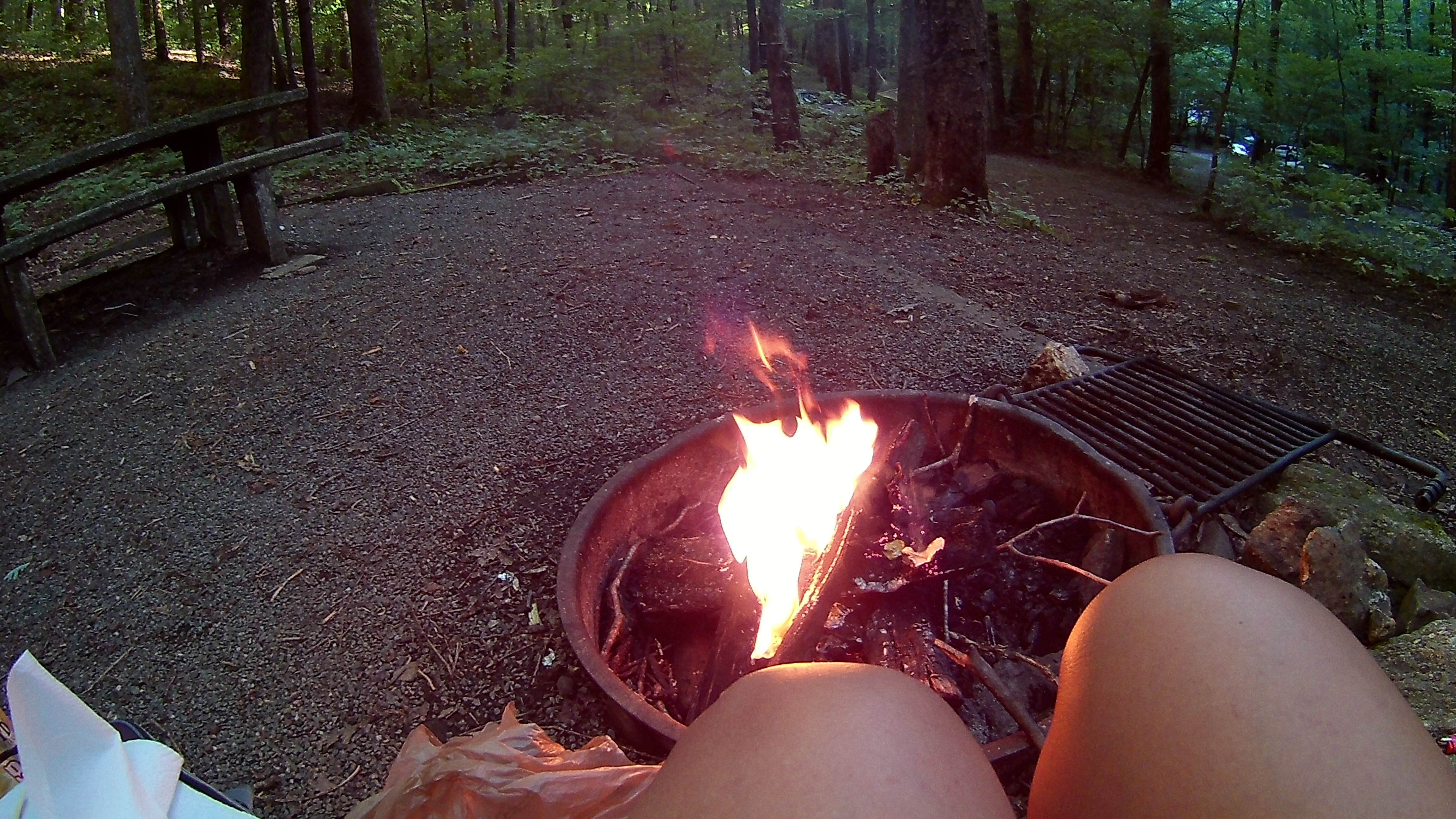 Camper submitted image from Andrew's Cove Campground — Chattahoochee Oconee National Forest - 5