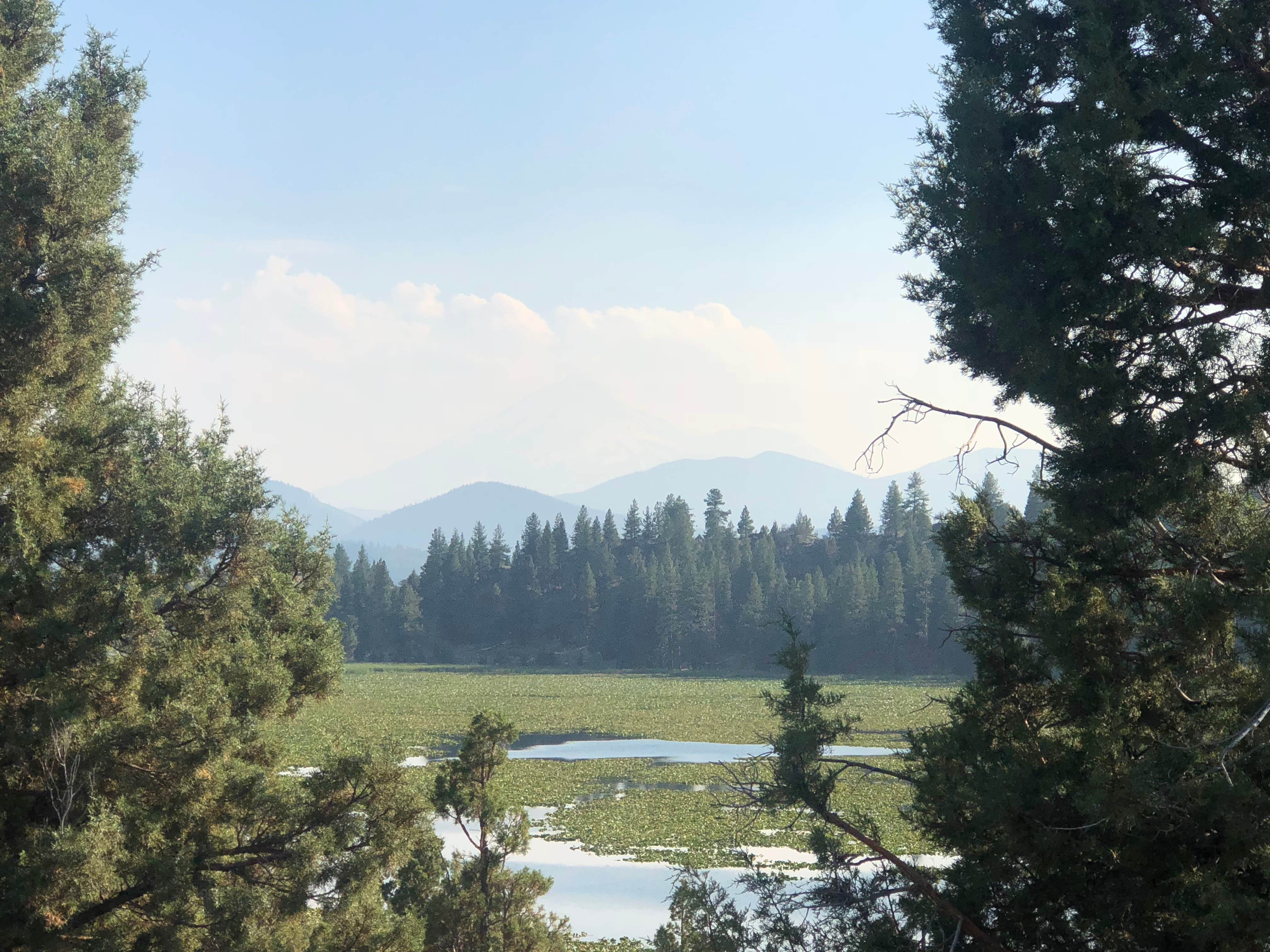 Camper-submitted photo at Orr Lake Campground near Macdoel, CA