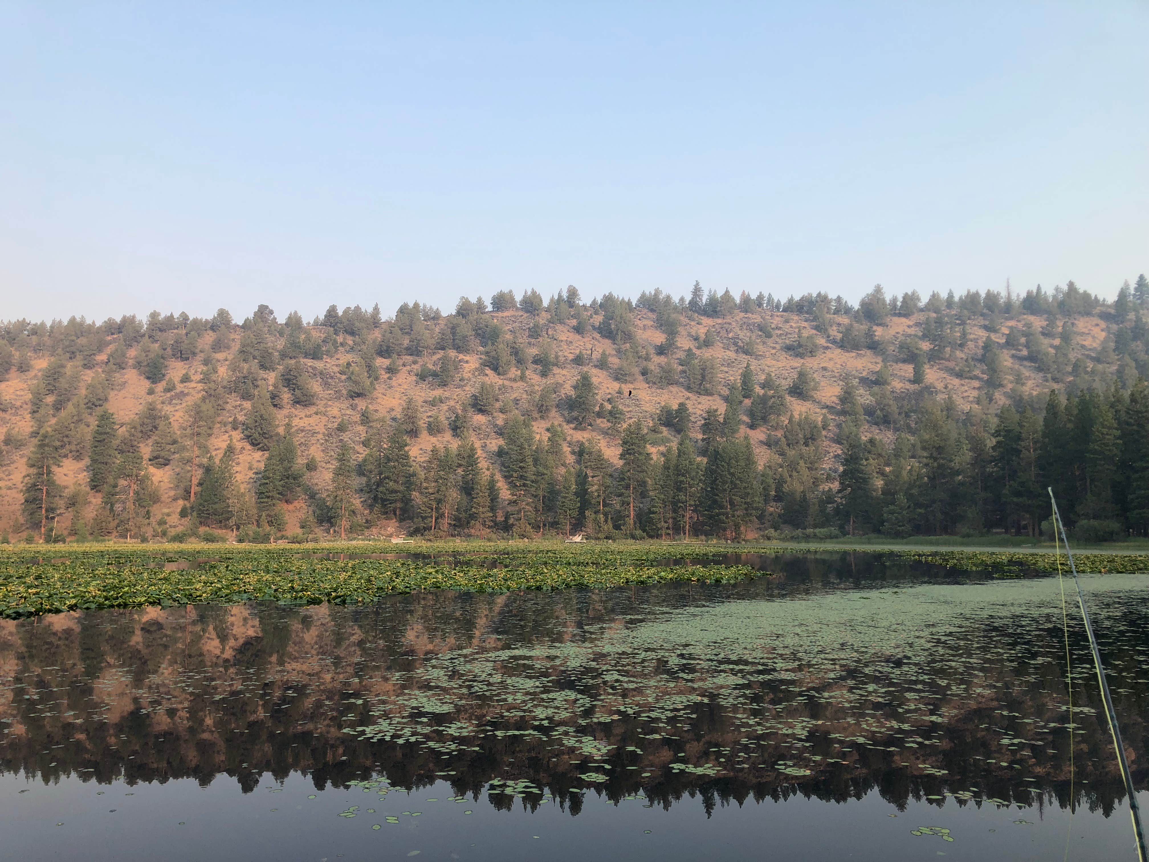Camper-submitted photo at Orr Lake Campground near Macdoel, CA