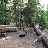 Review photo of Cedar Springs Campground (WA) by Sara S., July 31, 2018