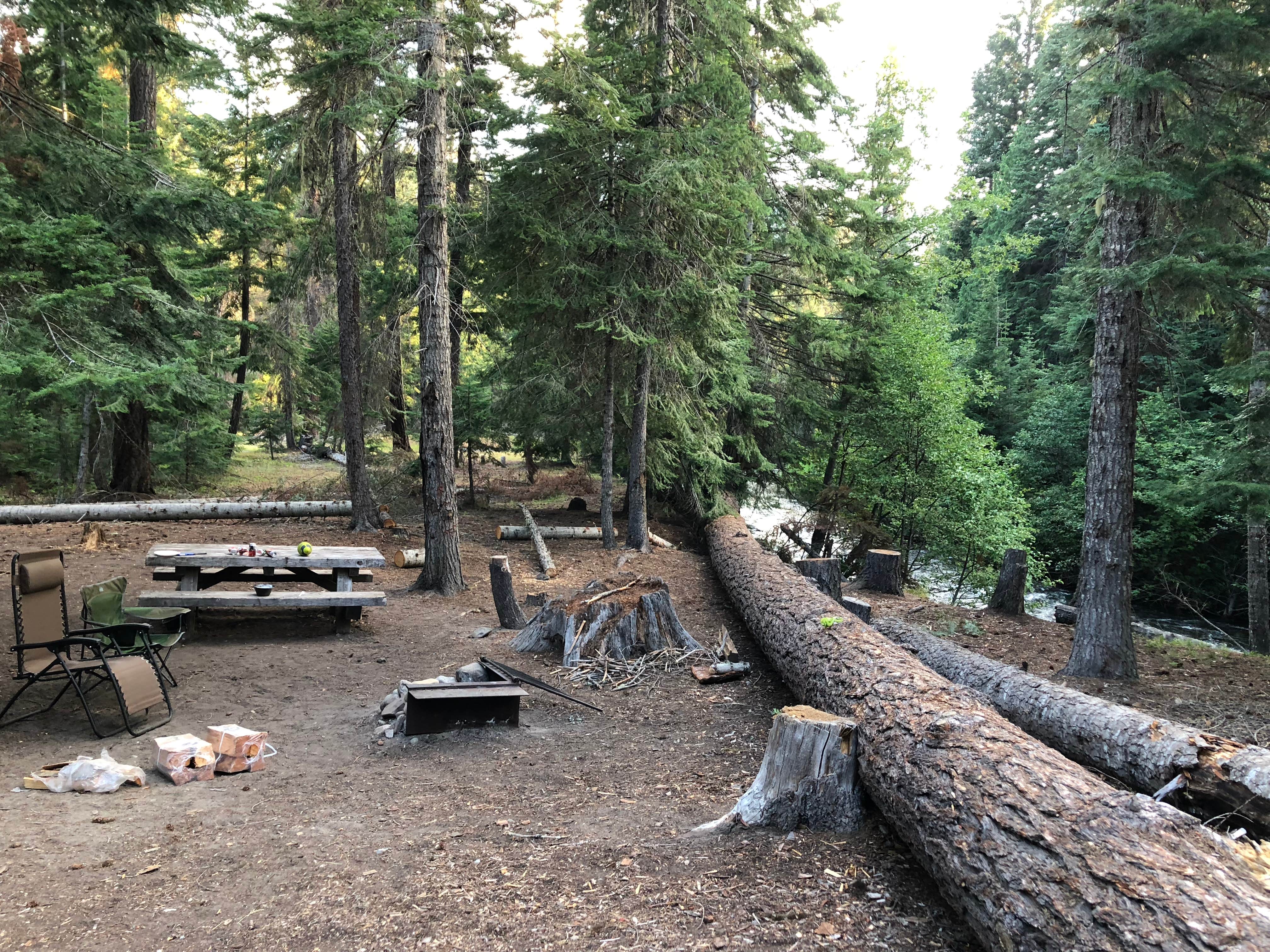 Camper submitted image from Cedar Springs Campground (WA) - 5