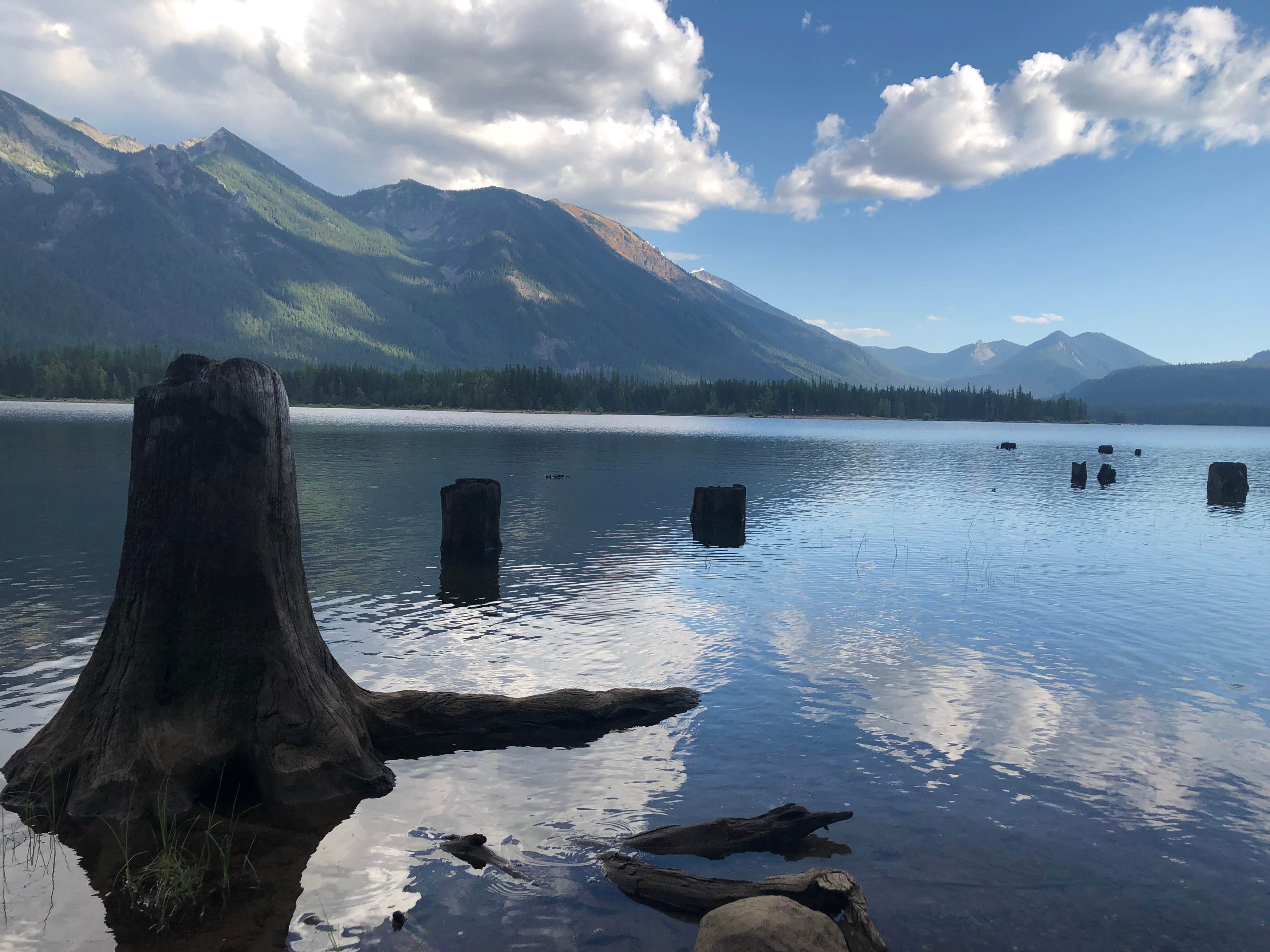 Cedar Springs Campground (Wa) The Dyrt