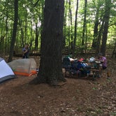 Review photo of Bruin Lake Campground — Pinckney Recreation Area by Heidi S., July 16, 2018