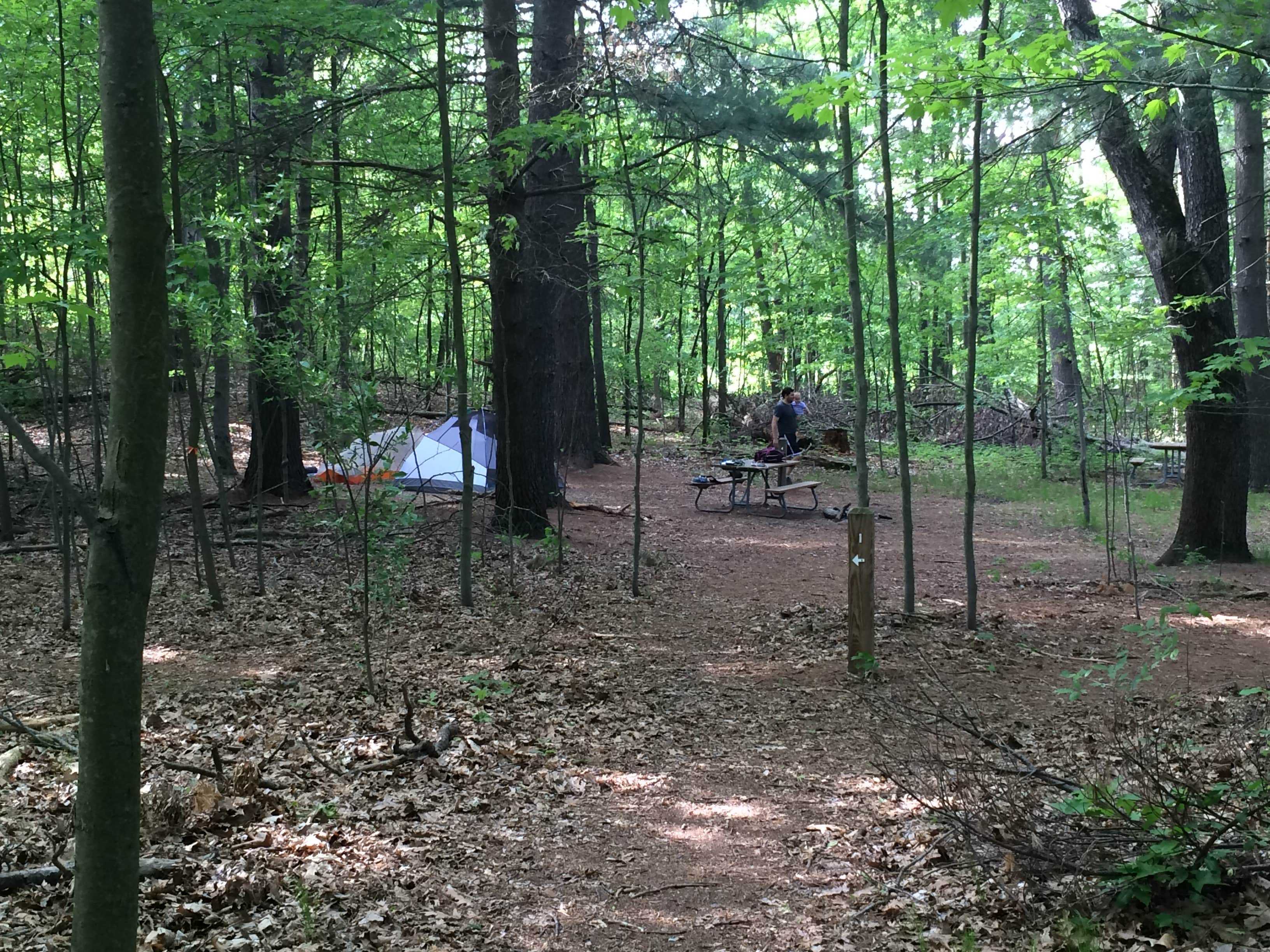 Camper submitted image from Bruin Lake Campground — Pinckney Recreation Area - 3