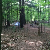 Review photo of Bruin Lake Campground — Pinckney Recreation Area by Heidi S., July 16, 2018