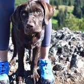 Review photo of Lodgepole Campground by Sasha W., July 31, 2018