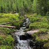 Review photo of Lodgepole Campground by Sasha W., July 31, 2018