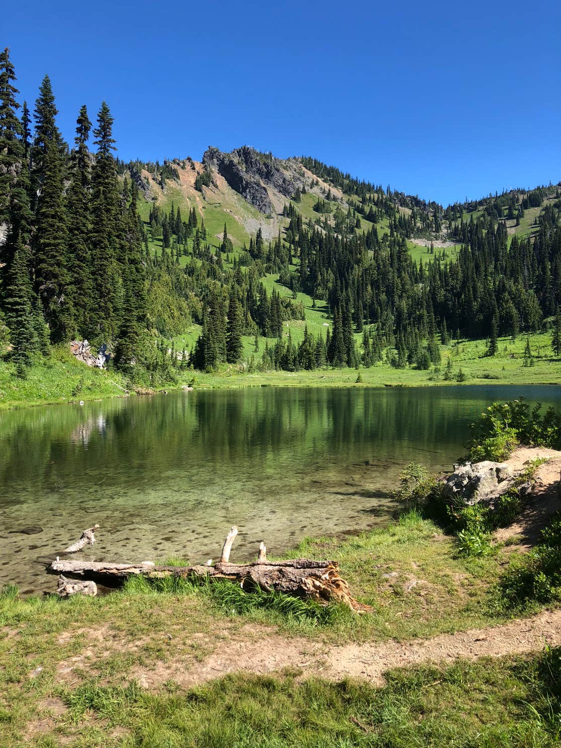 Lodgepole Campground | The Dyrt