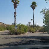 Review photo of Echo Bay Lower Campground — Lake Mead National Recreation Area by Michael J., July 31, 2018