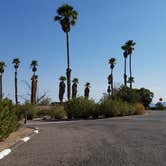 Review photo of Echo Bay Lower Campground — Lake Mead National Recreation Area by Michael J., July 31, 2018