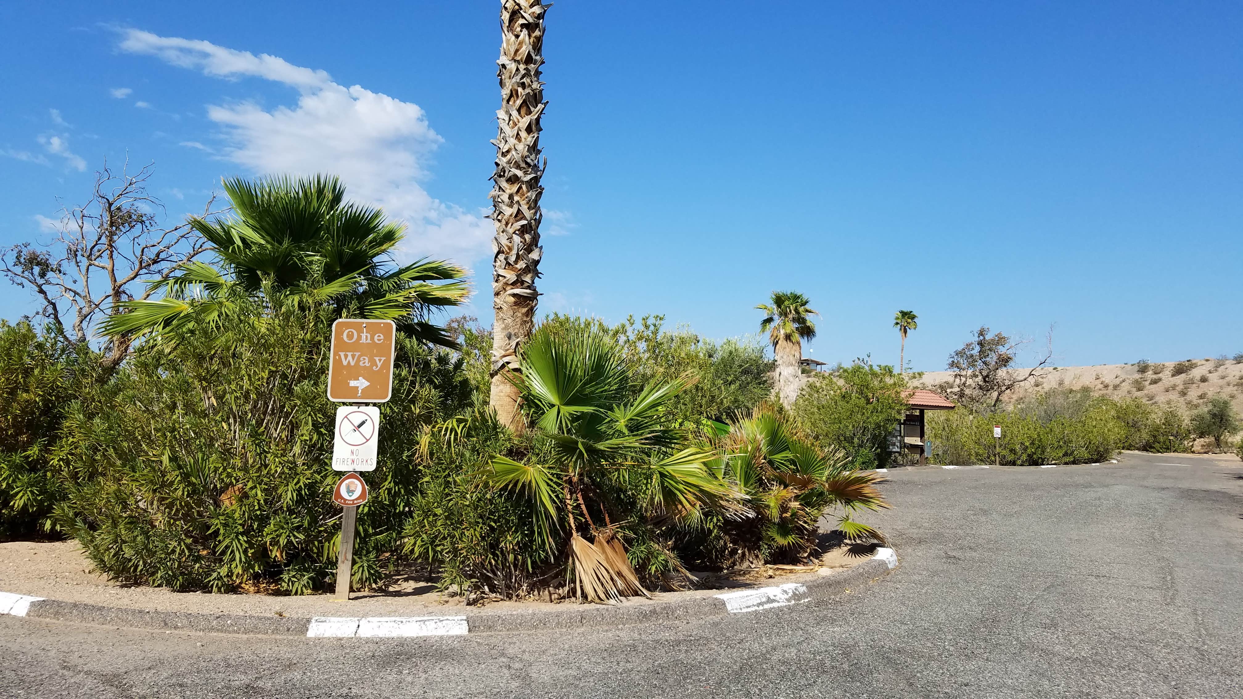 Camper-submitted photo at Echo Bay Lower Campground — Lake Mead National Recreation Area near Temple Bar Marina, AZ
