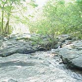 Review photo of Gulpha Gorge Campground — Hot Springs National Park by phillip L., July 29, 2016