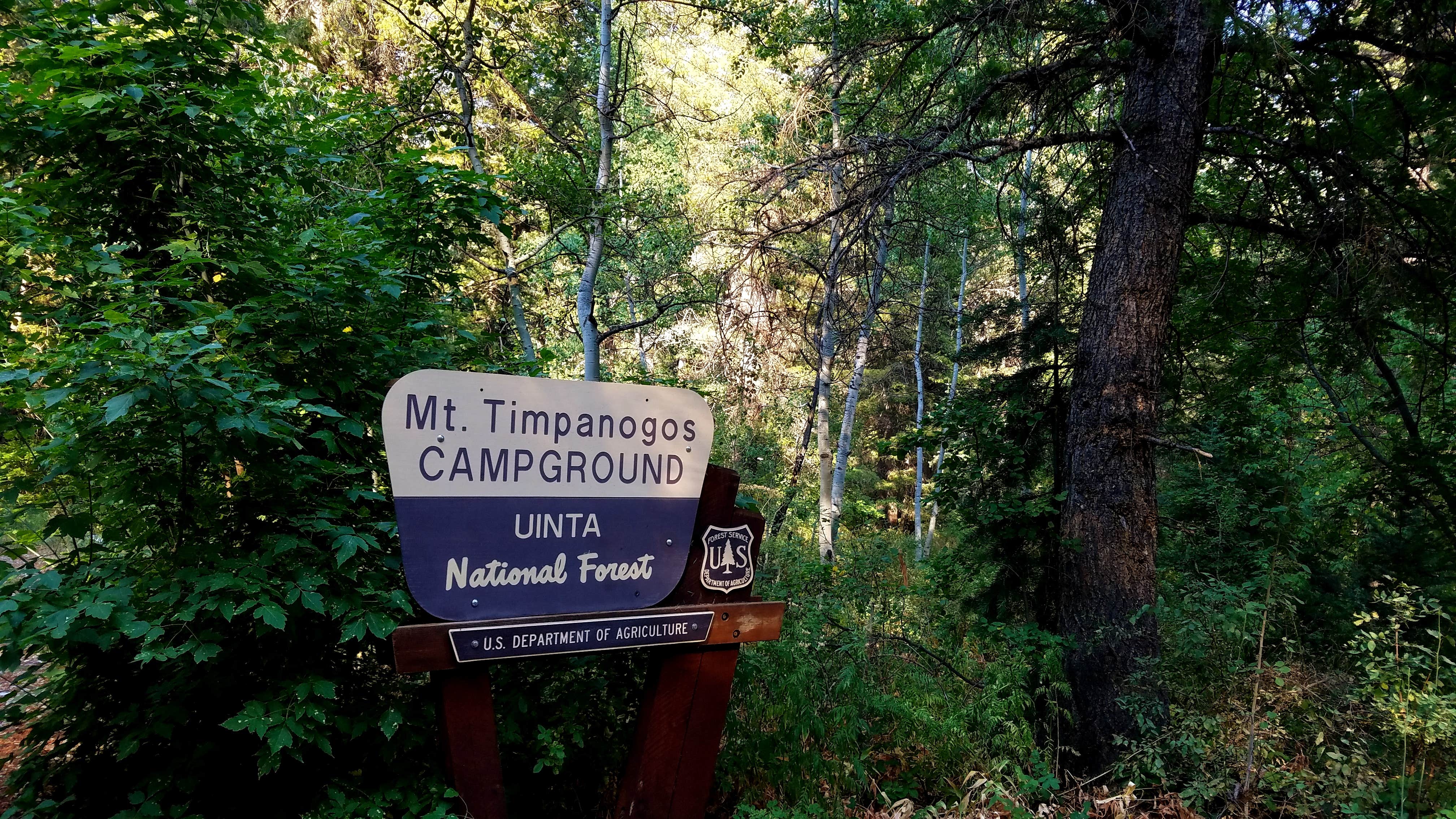 Camper-submitted photo at Mt. Timpanogos near Wallsburg, UT