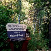 Review photo of Mt. Timpanogos by Michael J., July 31, 2018