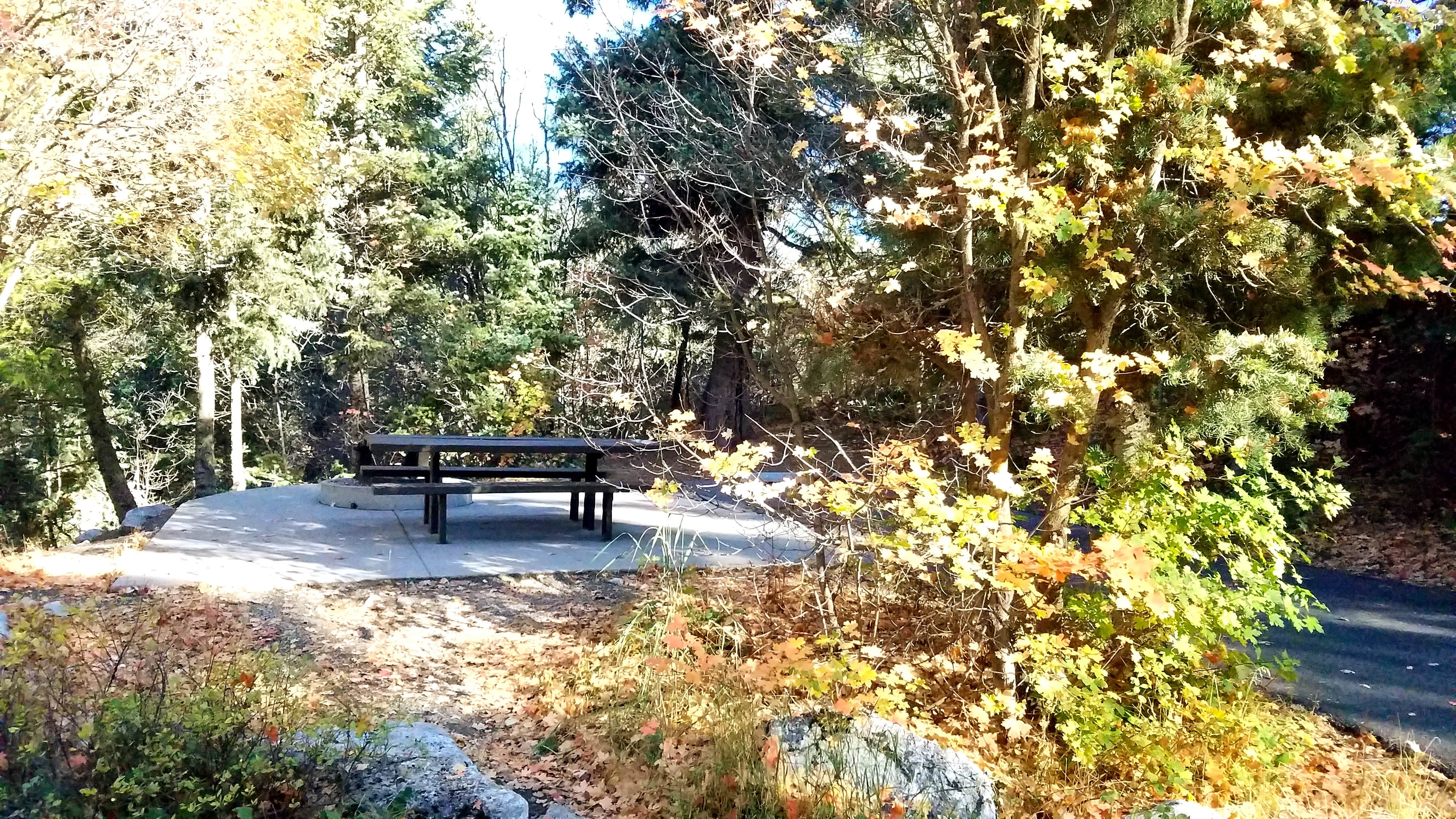 Camper submitted image from Granite Flat (utah) - 4