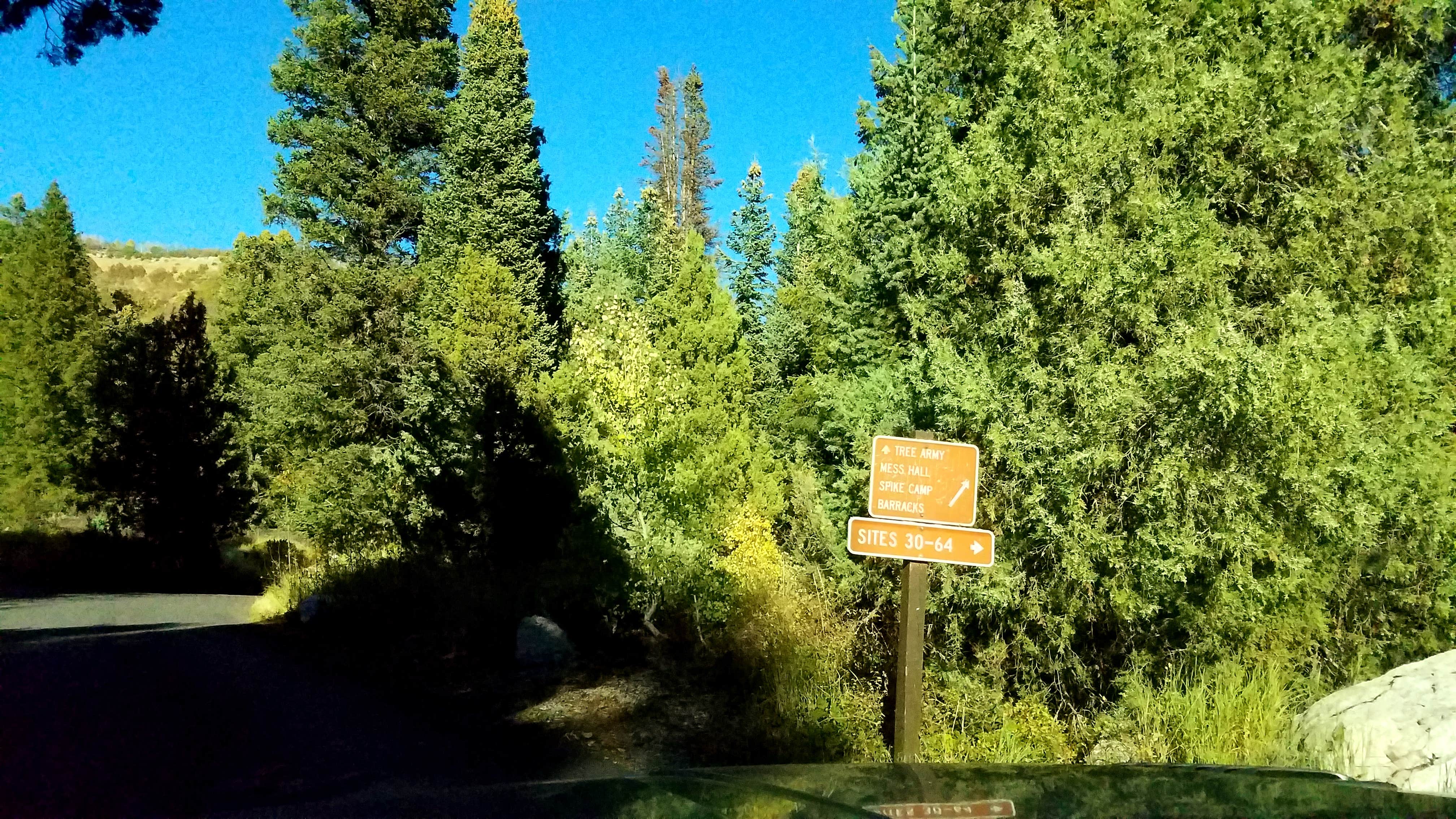 Camper submitted image from Granite Flat (utah) - 5