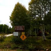 Review photo of DeMotte National Forest Campground by Michael J., July 31, 2018