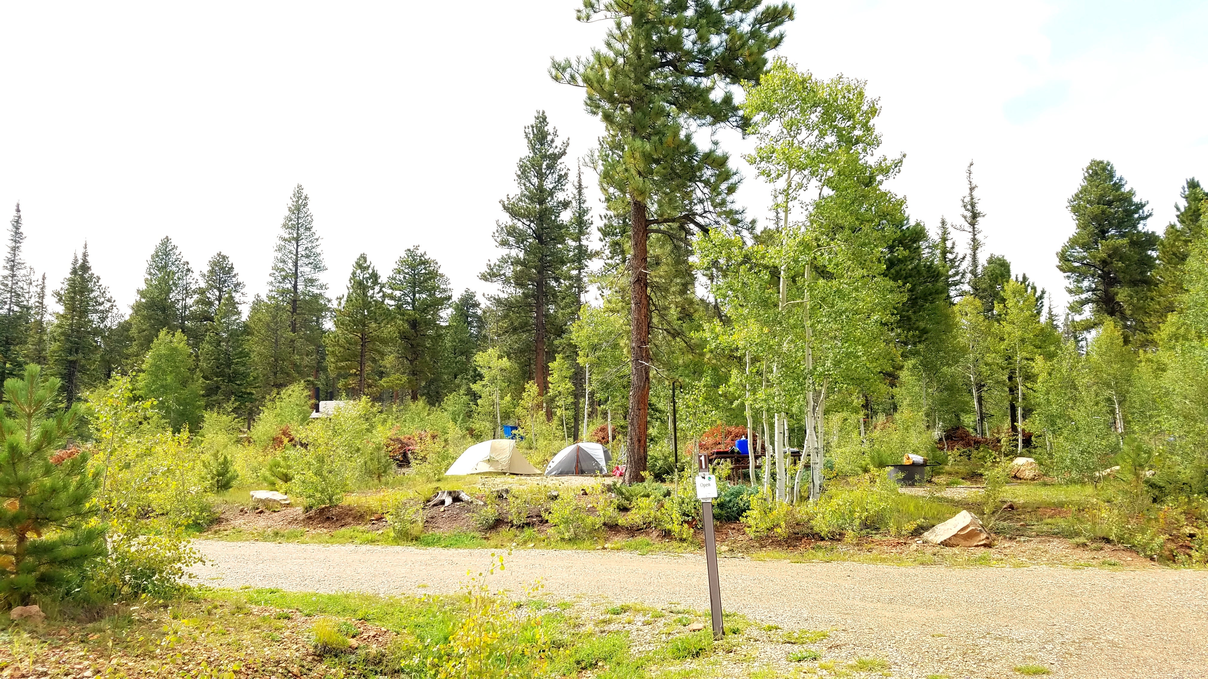 Camper submitted image from DeMotte National Forest Campground - 5