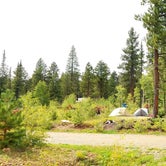Review photo of DeMotte National Forest Campground by Michael J., July 31, 2018