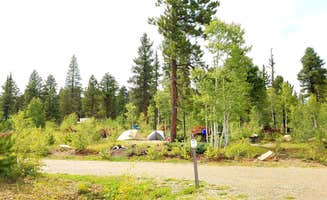 Michael J.'s photo at DeMotte National Forest Campground near Jacob Lake, AZ