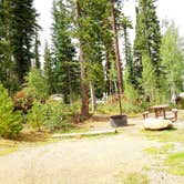 Review photo of DeMotte National Forest Campground by Michael J., July 31, 2018