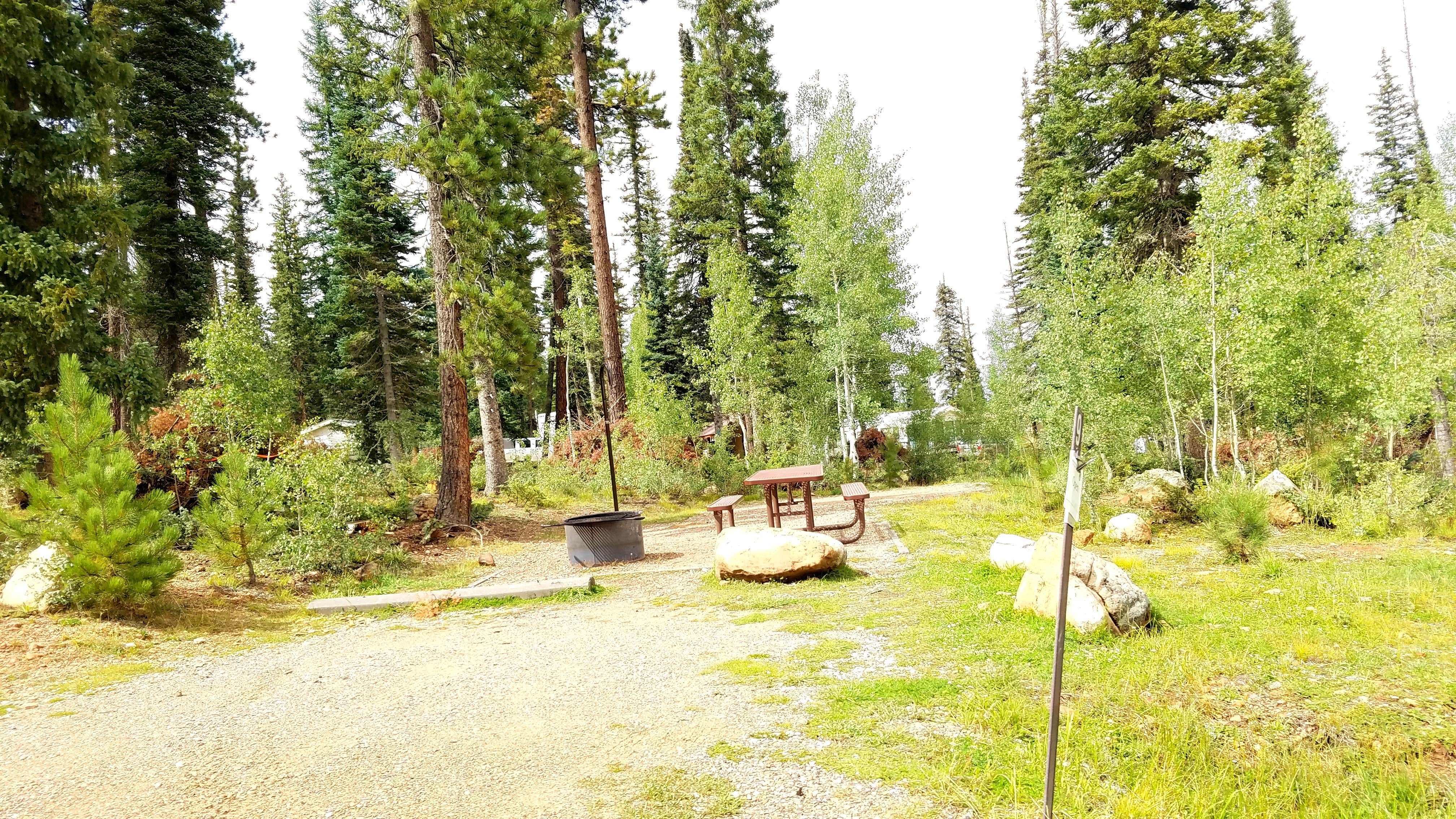 Camper submitted image from DeMotte National Forest Campground - 5