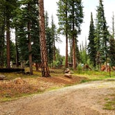 Review photo of DeMotte National Forest Campground by Michael J., July 31, 2018