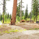 Review photo of DeMotte National Forest Campground by Michael J., July 31, 2018